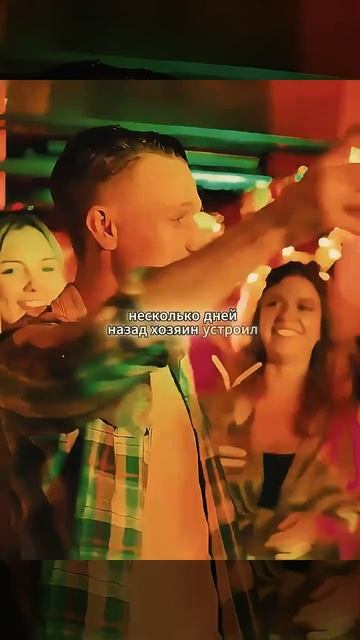 фильм на вечер