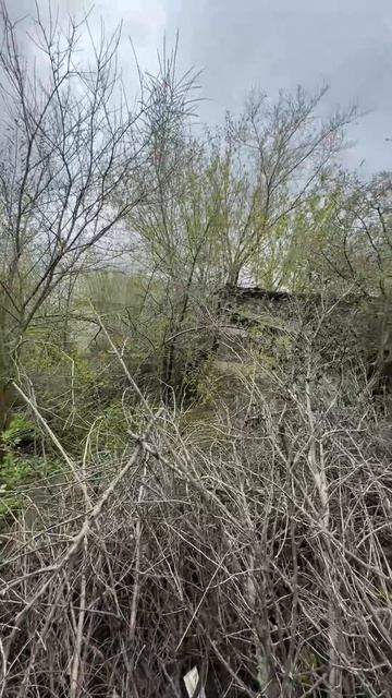 Продается усадьба х. ПРОЛЕТАРКА Ростовская область