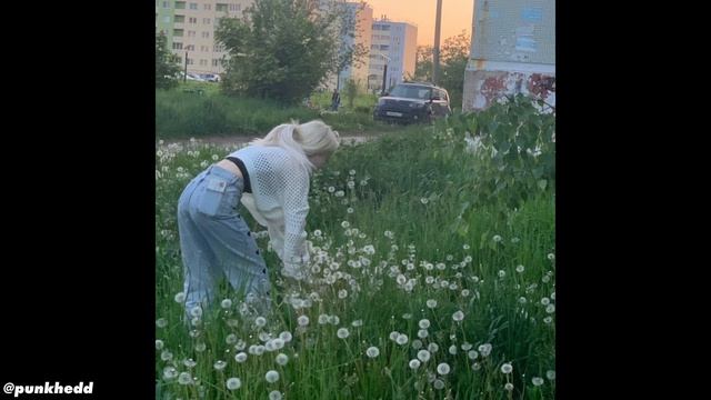 (free) королевский xvii + темный принц + ashleyrossmith type beat 