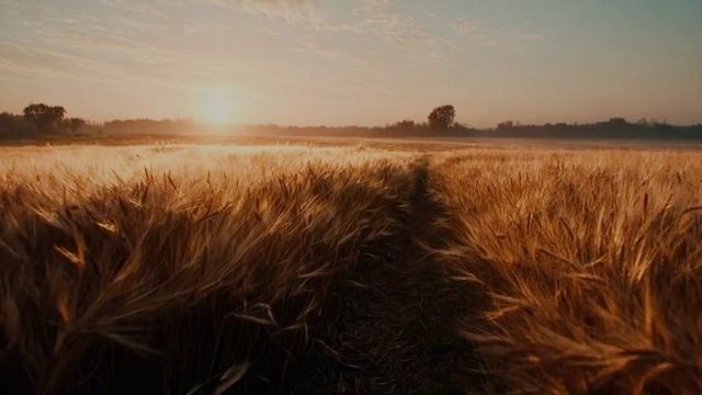 В божественных объятиях .mp4