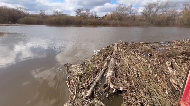 C помощью техники МБУ «КурганЛес» были произведены работы по устранению затора
