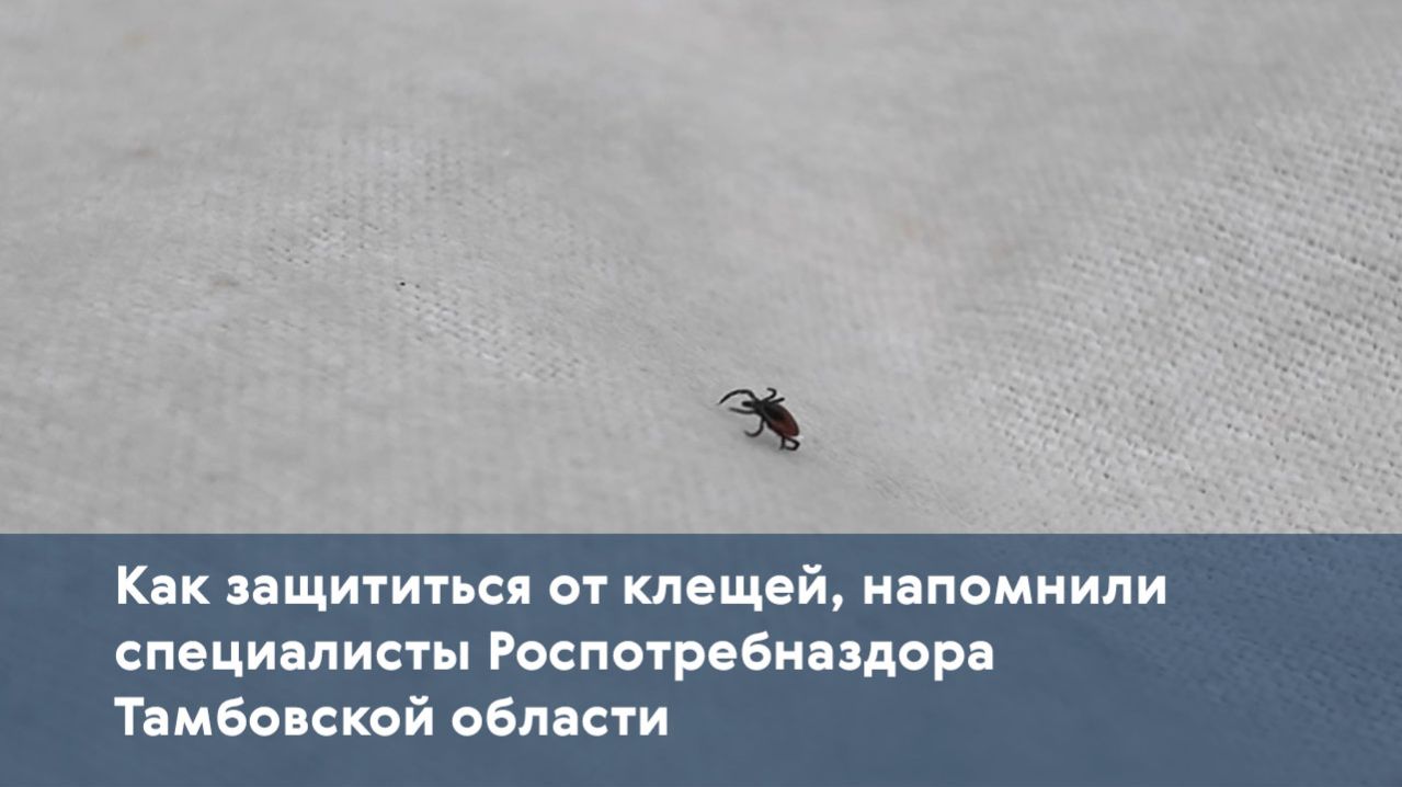 Как защититься от клещей, напомнили специалисты Роспотребназдора Тамбовской области