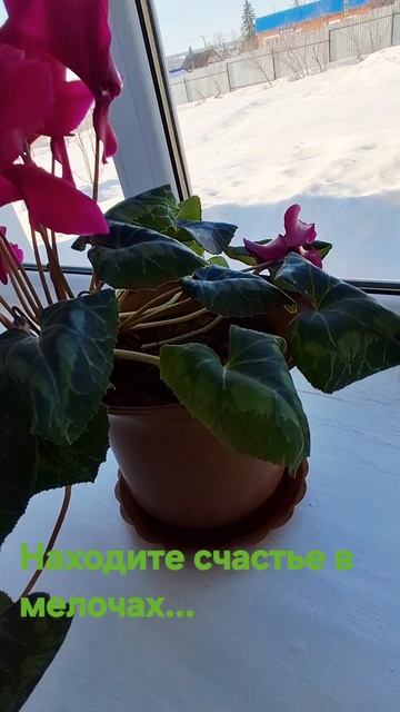 Счастье в мелочах🫠