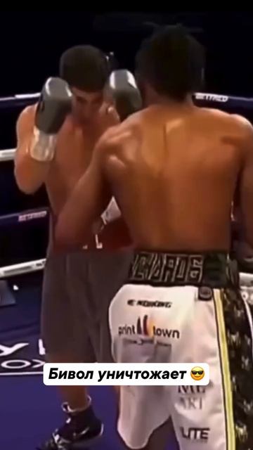 Бивол на ринге - соперник в нокауте 🙌