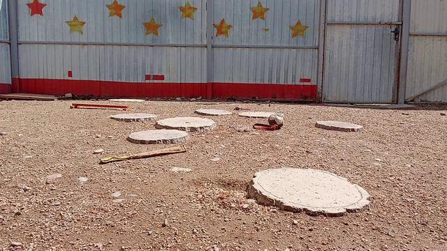 Баларис ЧИП,  2 месяца 16 дней