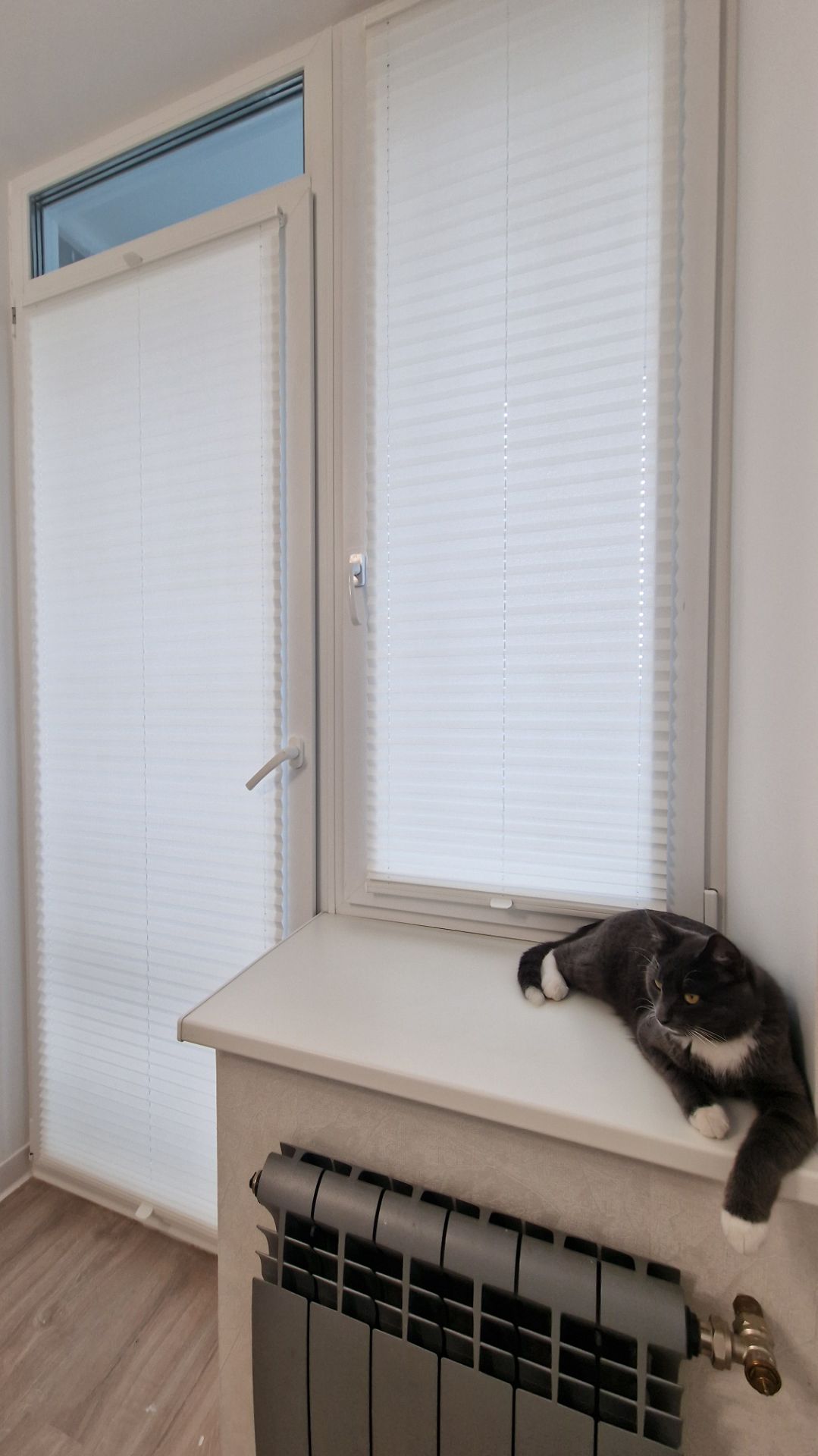 Ткань Гарда перл. Белый. Шторы плиссе ВВ21