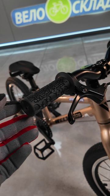 Обзор велосипеда Welt Teddy 16 (2026)