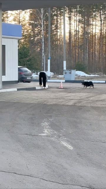 тур продолжается! и у нас на пути всегда встречаются наши друзья🐶❤️и у нас всегда есть для них вкусн