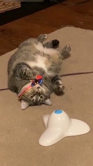 Моя волна.mp4