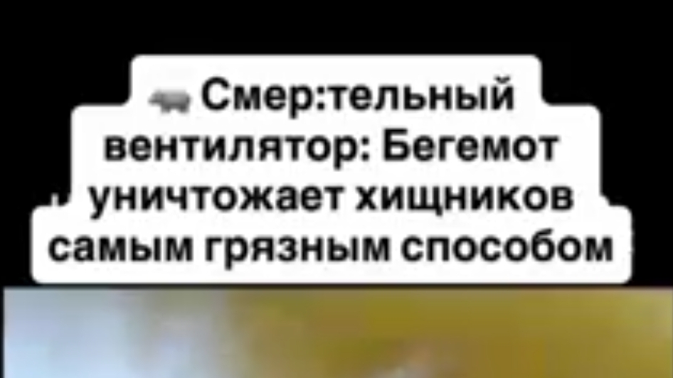 Смертельный вентилятор!!!