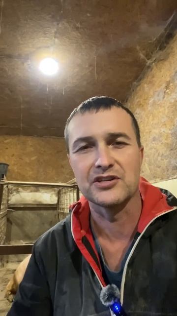 Кормление свиноматок в разные периоды жизни. Видео-ответ 22-04-2026