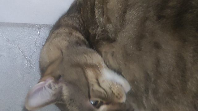 Чистюля😂😂🤣🤣