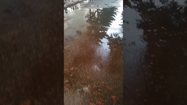 VID_20260422_191702.mp4