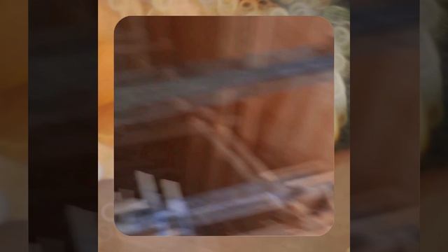 1000056800.mp4 (Собака наблюдает за устройством лестницы на 2-ой этаж в доме А-фрейм)