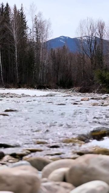 Река Мульта—горная и бурная, еще чуть-чуть и затопит все в округе;)