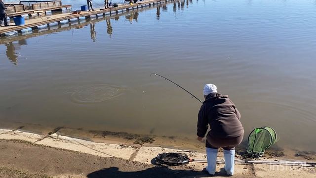 Клёв форели и поимки