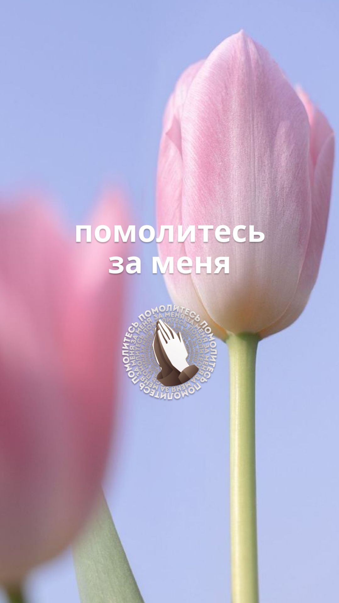 🙏Помолитесь за меня!