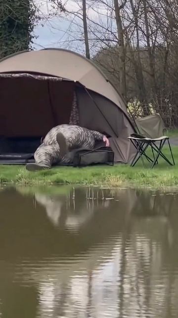 прикол на рыбалке.mp4