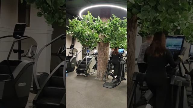 Якудза в спорт зале. 21 апреля 2026г Каждый вечер в 22 часа встречаемся в спорт зале 🍊CITRUS FITNES