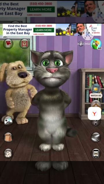 Talking Tom 2