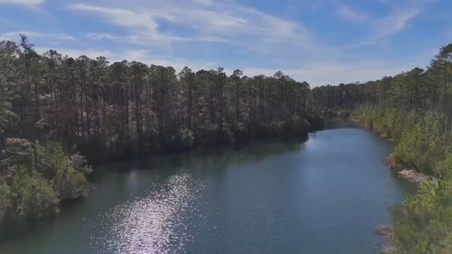 Fishing for MONSTER Bass in Backyard Pond! (Bed Fishing)