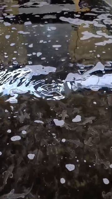 Отзывы наших клиентов. Астрахань мальковник полтора года.