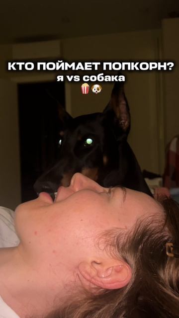 ЛОВИМ ПОПКОРН (я vs собака)🐶🍿