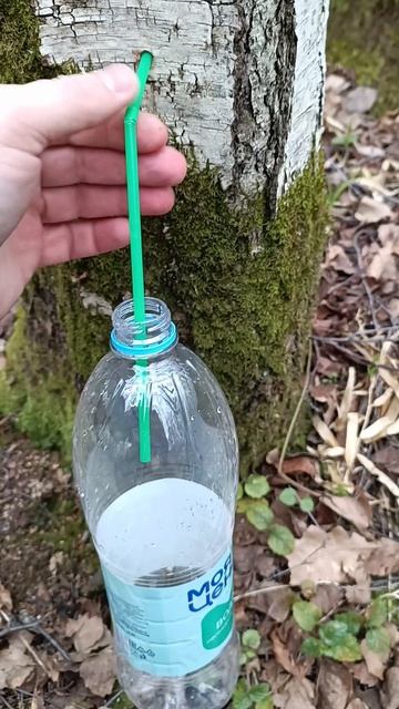 Powerlitre берёзового сока!