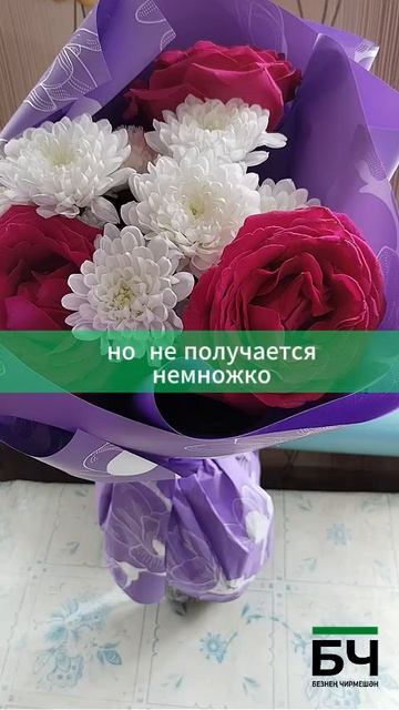 Анна Тишанькина