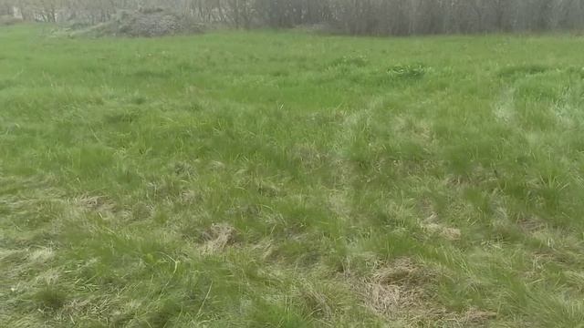 Участок в с.Кукуевка.mp4