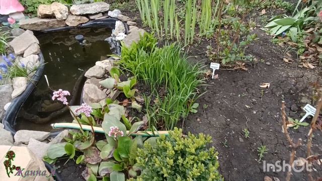 Снова розы! Не удержалась.. 😜❤️🌹