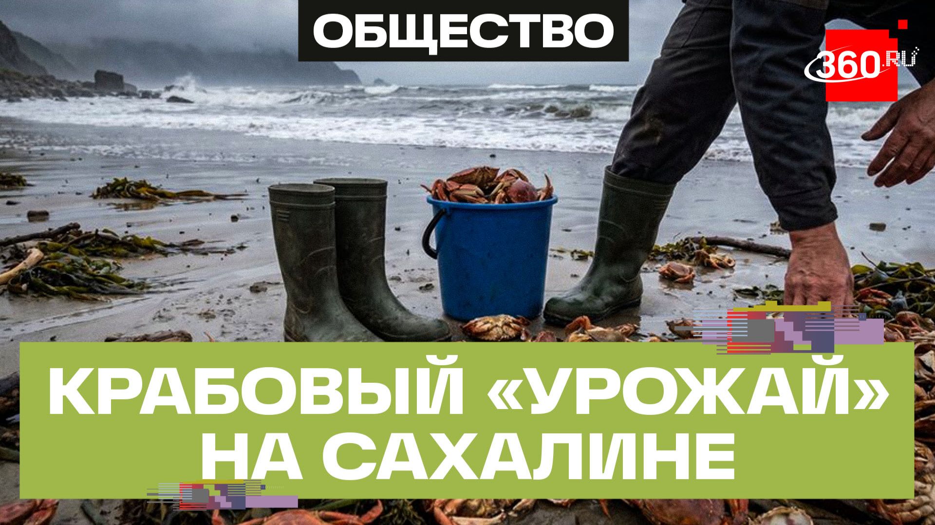 На берег выкинуло россыпи ракообразных из-за шторма на Сахалине