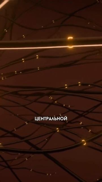 5 причин почему я не пью алкоголь.