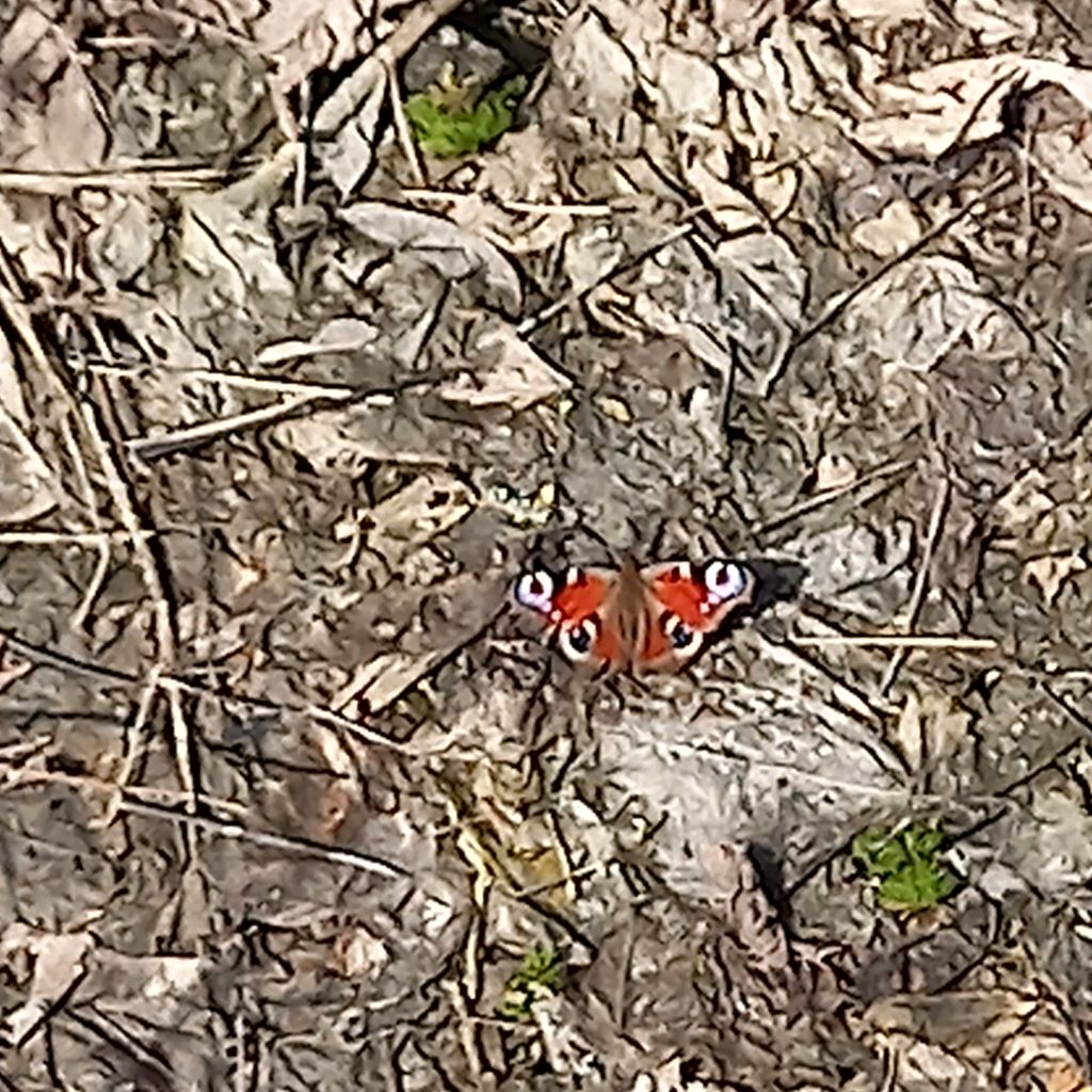 между нам провода