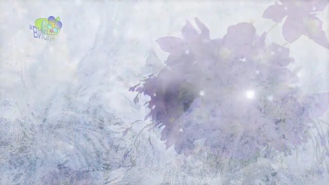 2 С Днём Рождения в феврале