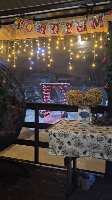 1000081486.mp4новый год 2026