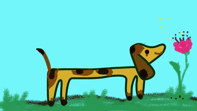 2026_Хвостики