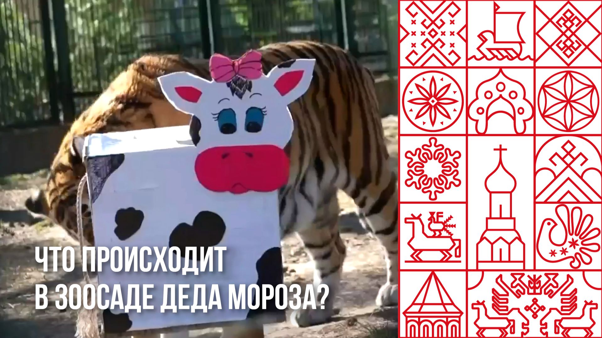 Зоосад Деда Мороза в Великом Устюге