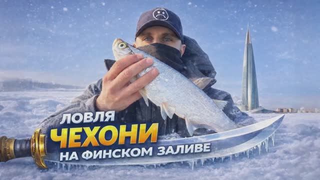 Чехонь Финского Залива. Сабли на льду. Зимняя Битва и Прощание с Ледяным Царством!
