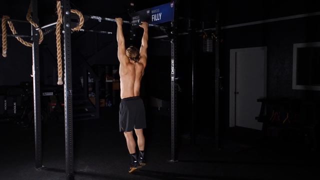 Лопаточные подтягивания / Scapular Pull Ups