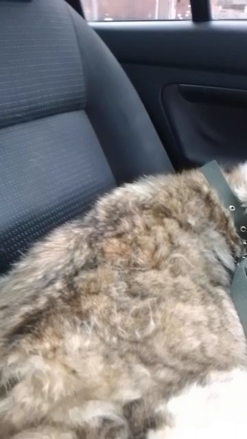 едим в клинику