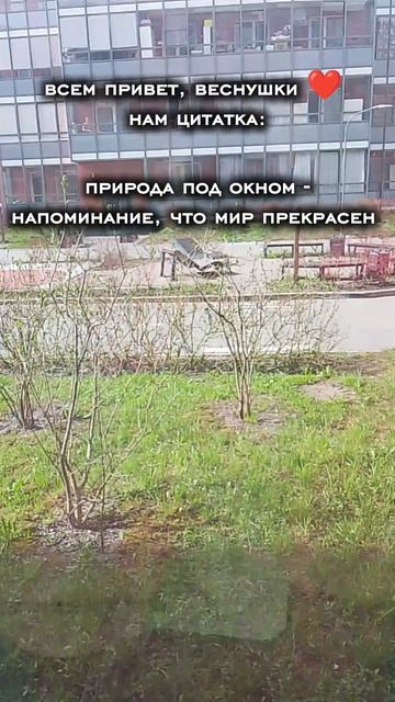 немного эстетики вам, веснушки)🌱