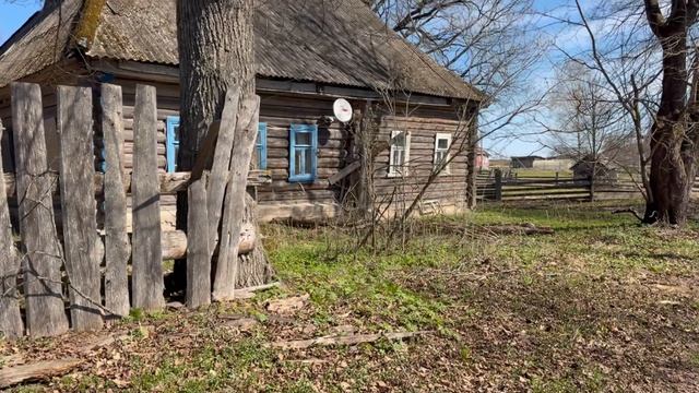 На старую дачу. Дом не плохо сохранился. Забрала ковер