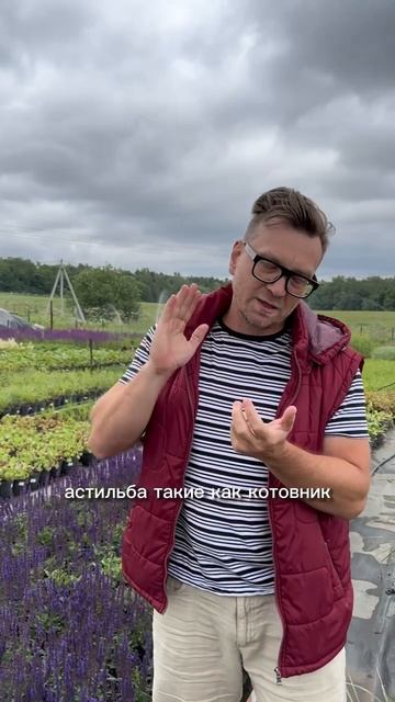 🌳🌿 Ярусность - основные фишки