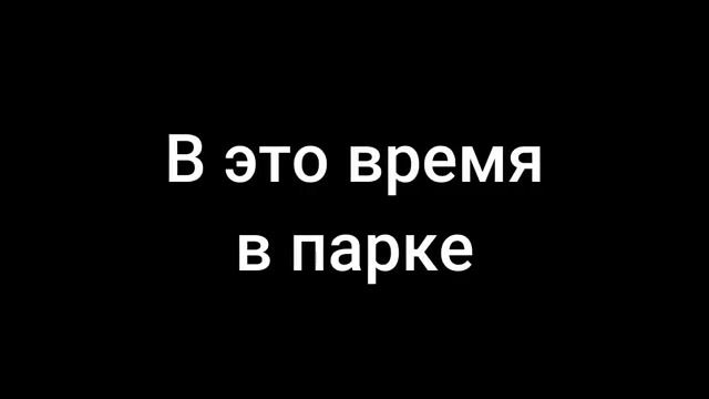 Поездка на лошадках Ожидание/реальность