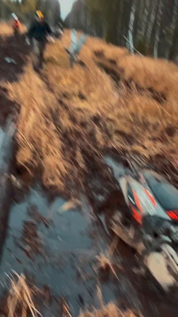 Эндуро на болоте