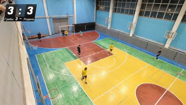 Грибы 3 - Родина голы матча