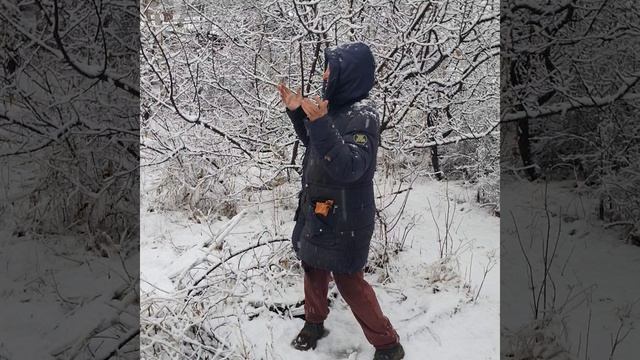 В ноябре на дворе