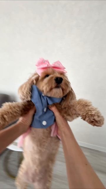 моя любимая булочка ❤️