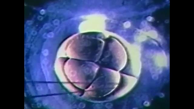 Доктор Питер Гай Маннерс – Оживляя материю с помощью звука